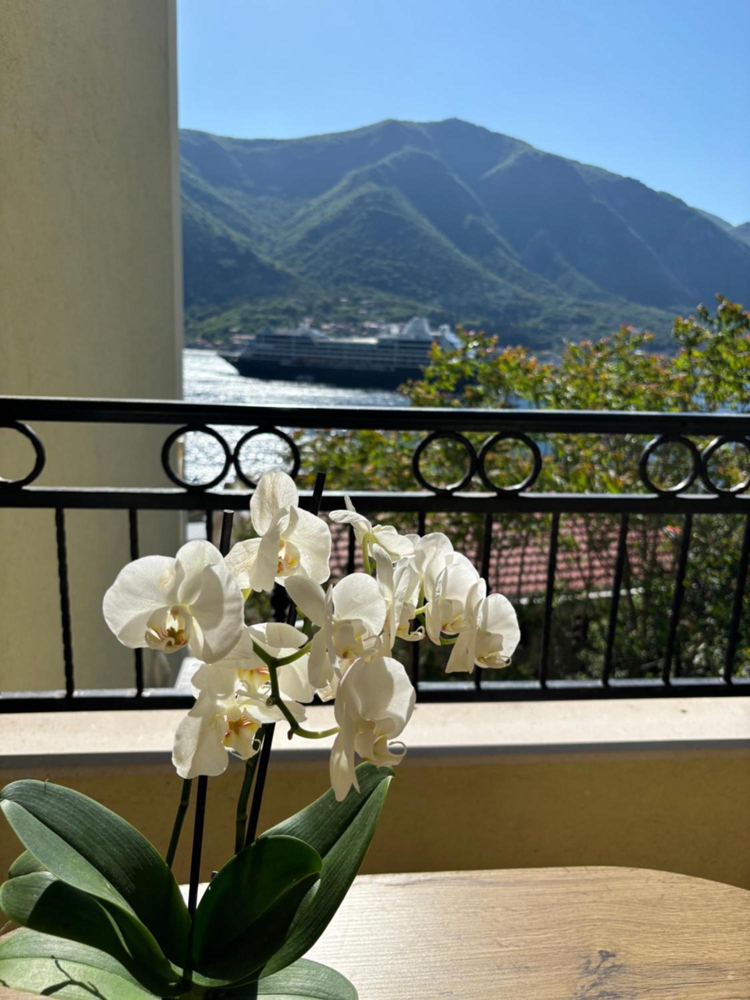 Modern Seaside Apartment With Balcony Tale Apartment Cattaro Esterno foto